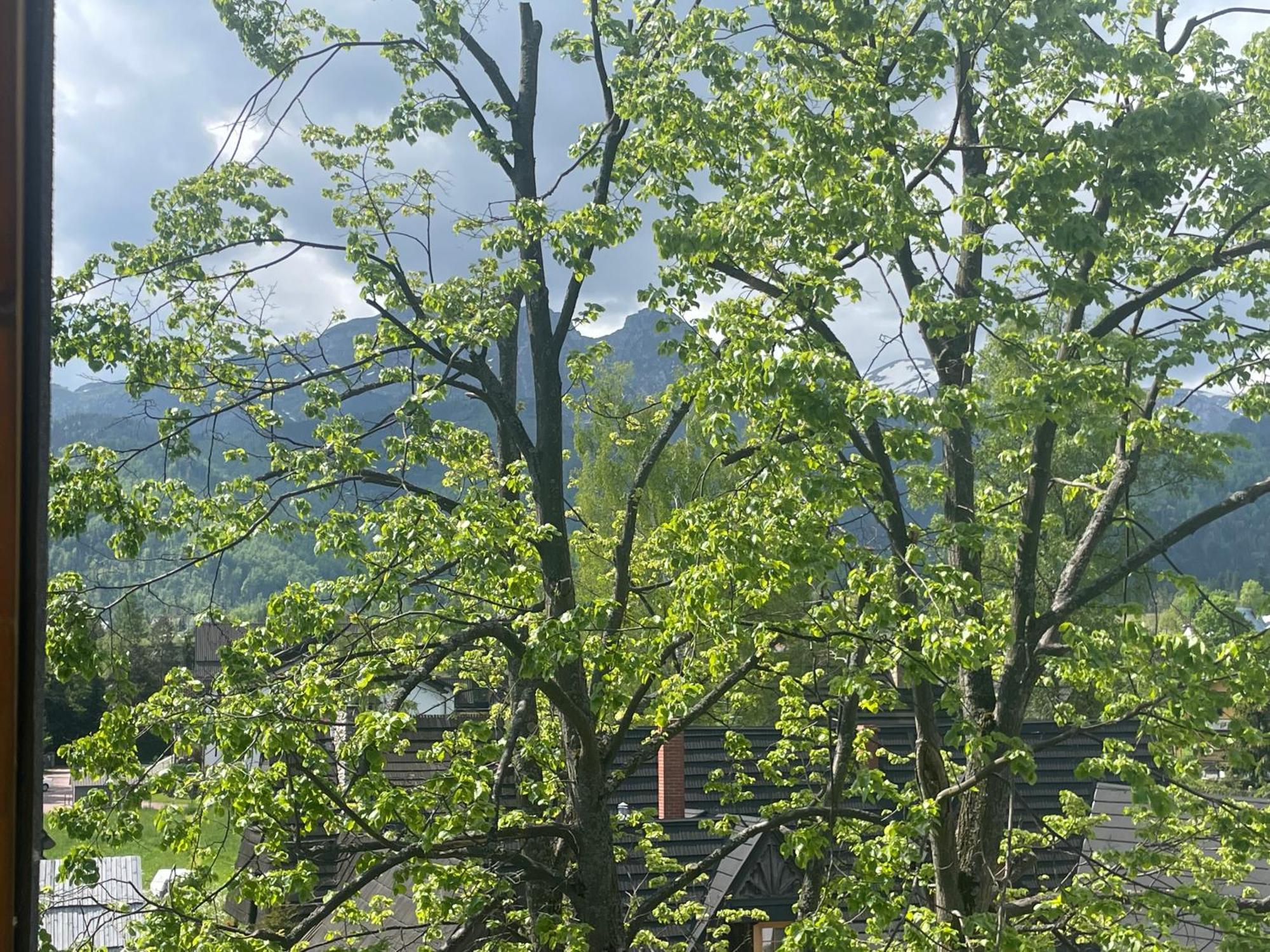 Apart-Center Zakopianskie Tarasy Spa Zakopane Dış mekan fotoğraf